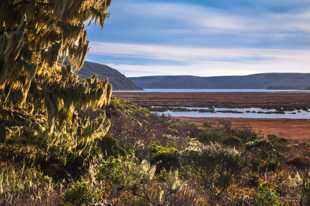 Point Reyes-9833
